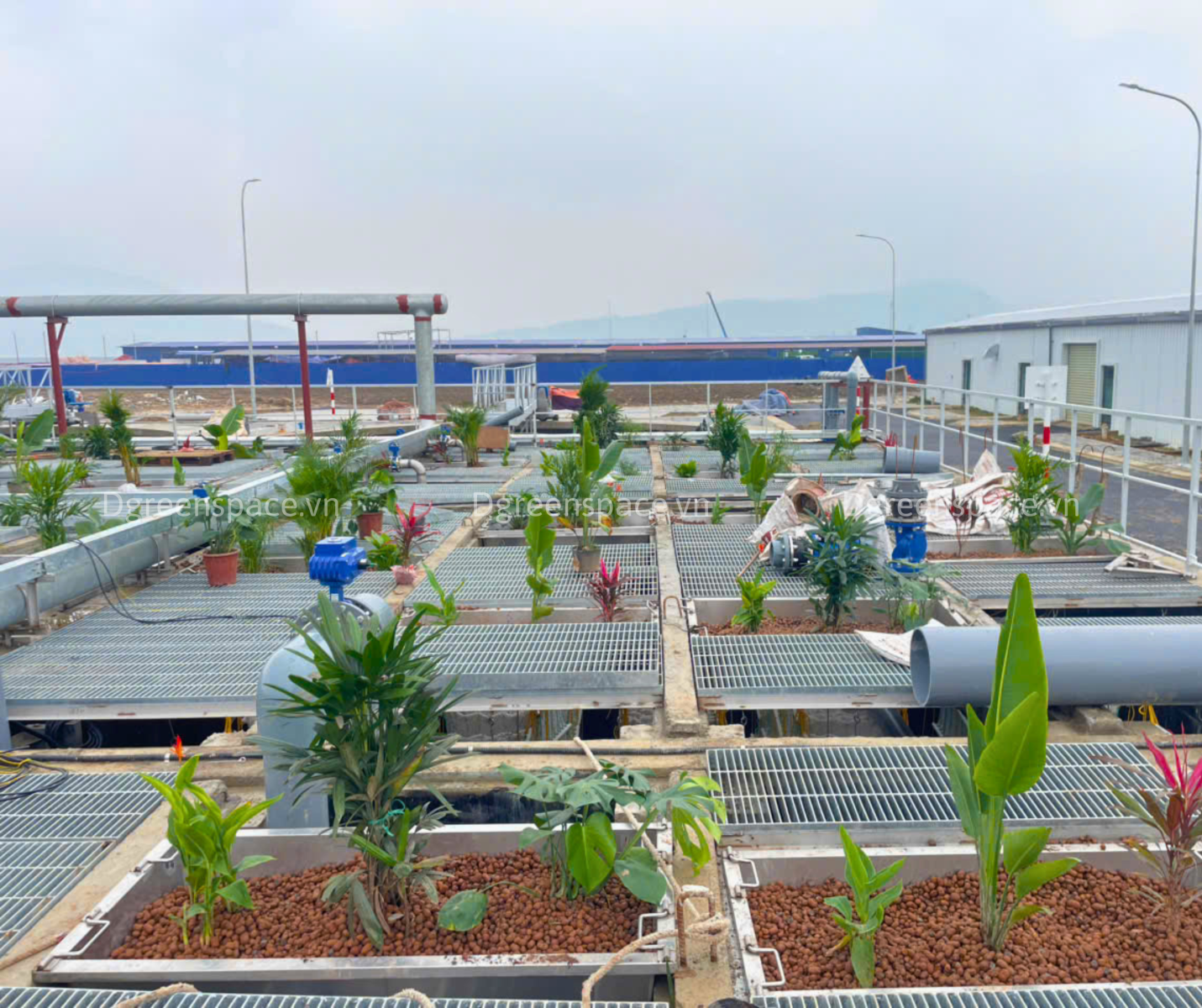 THI CÔNG BỂ XỬ LÝ NƯỚC THẢI