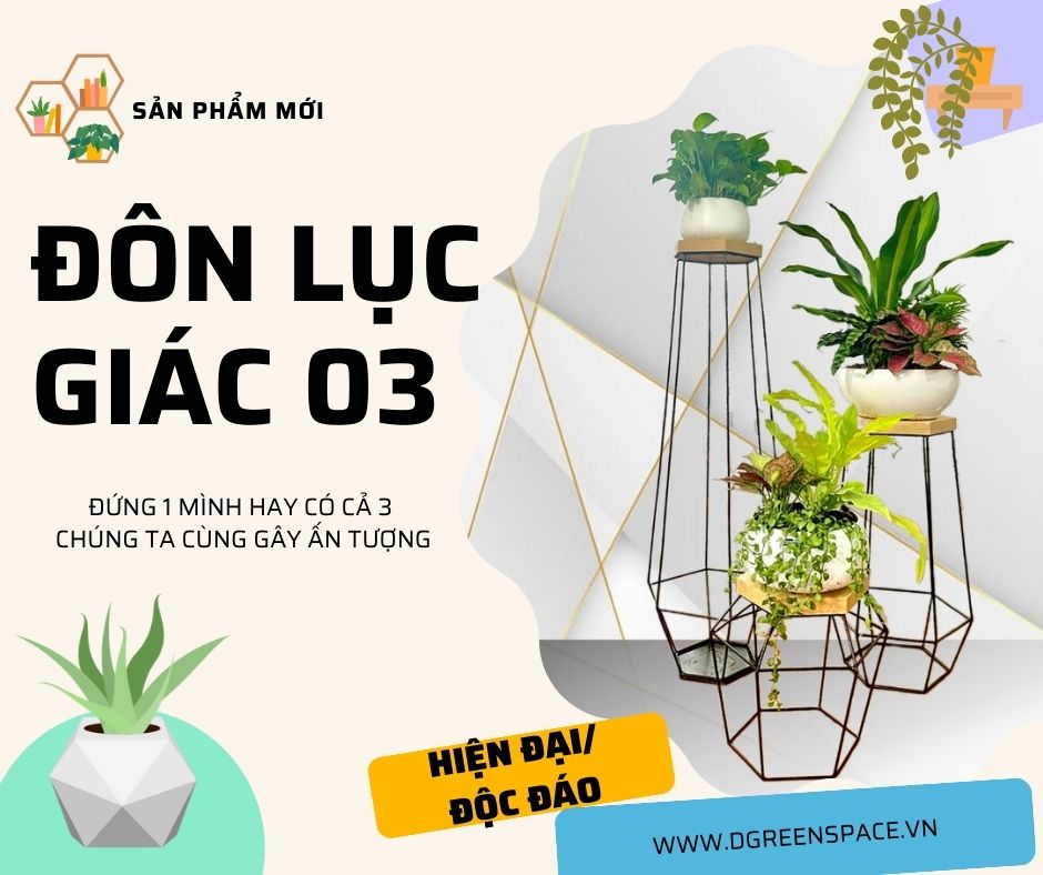 ĐÔN LỤC GIÁC 03