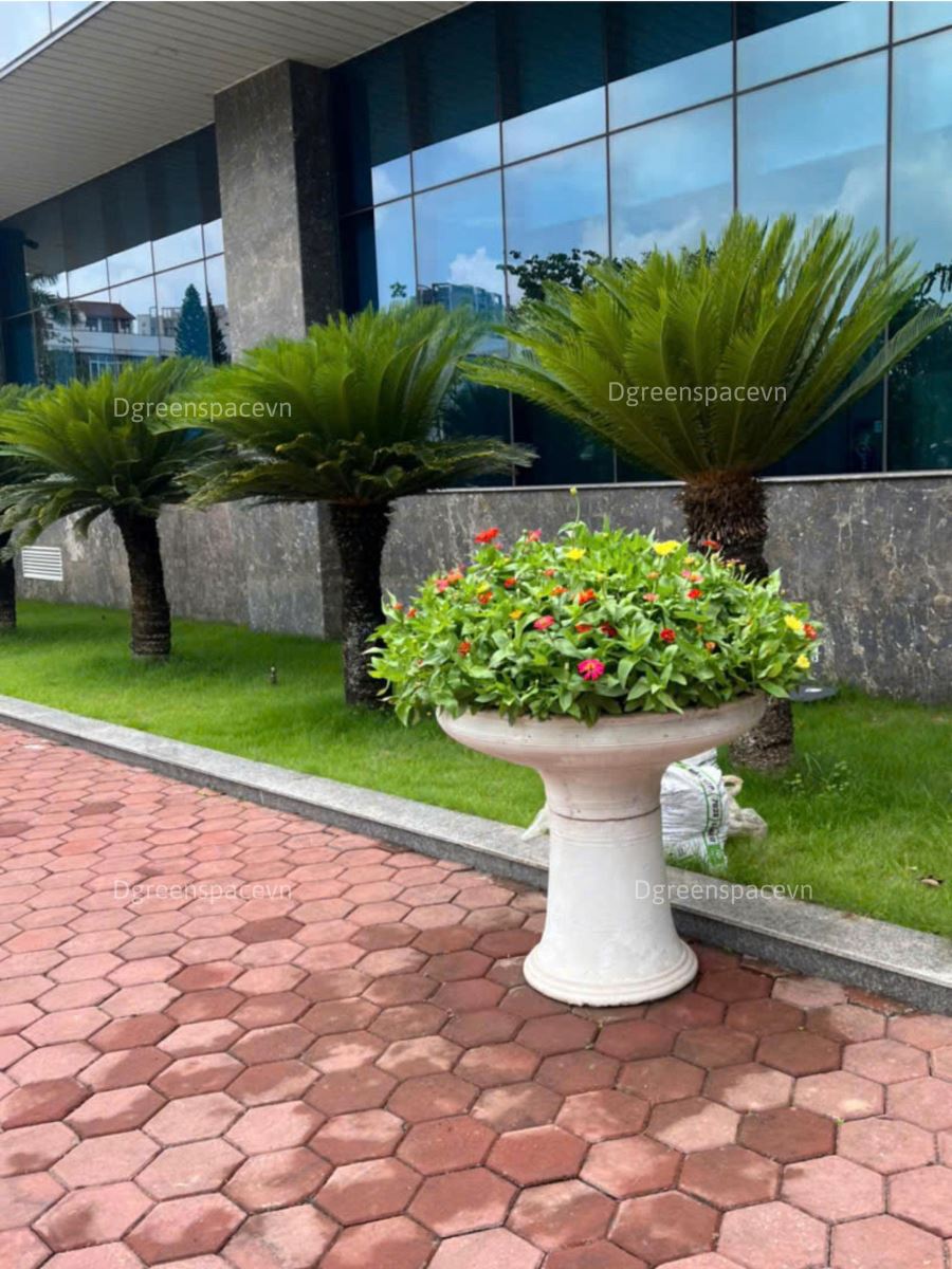 THI CÔNG CẢNH QUAN VIETNAM AIRLINES