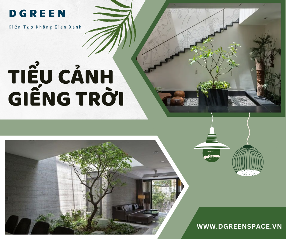 TIỂU CẢNH GIẾNG TRỜI