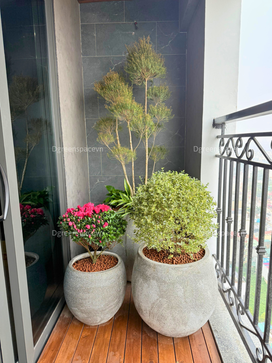 TIỂU CẢNH BAN CÔNG