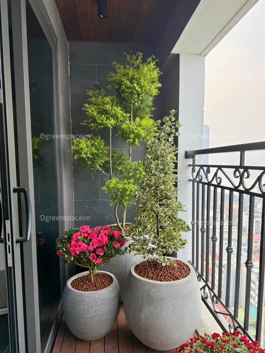 TIỂU CẢNH BAN CÔNG