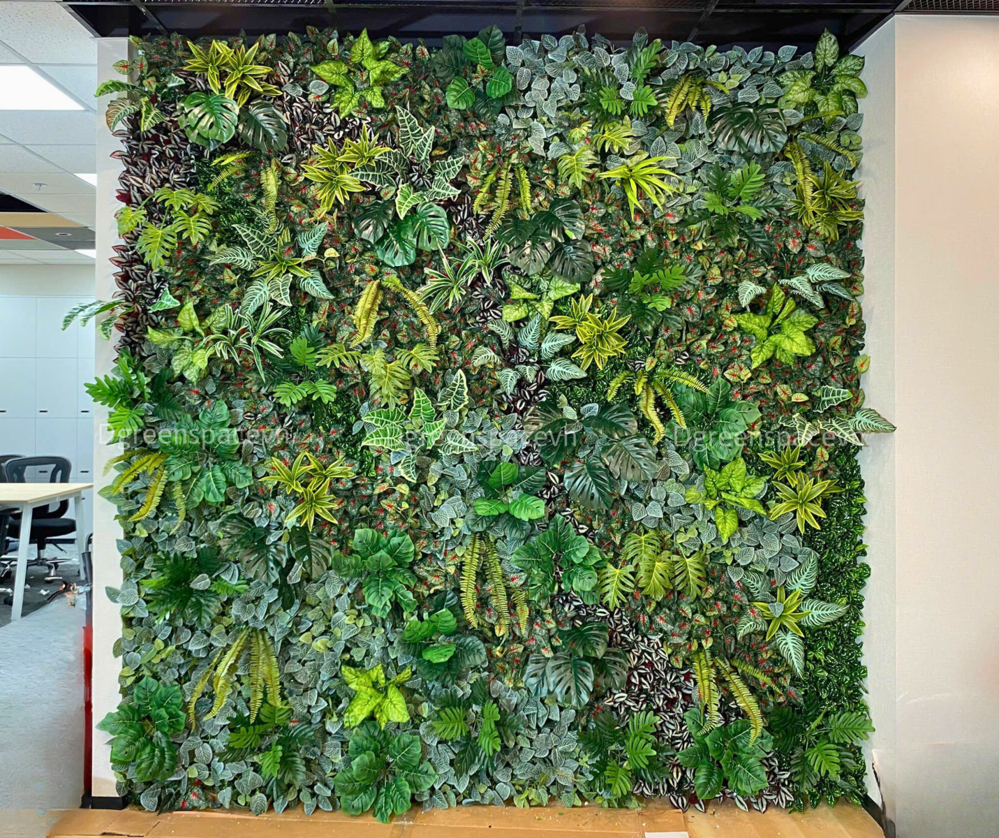 THI CÔNG TƯỜNG GIẢ